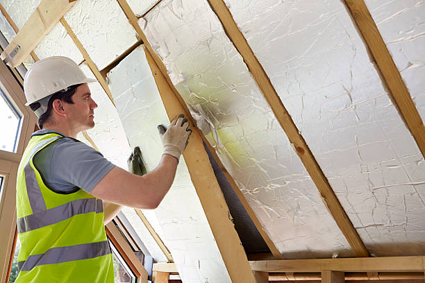 Best Insulation Contractors for Homes  in USA